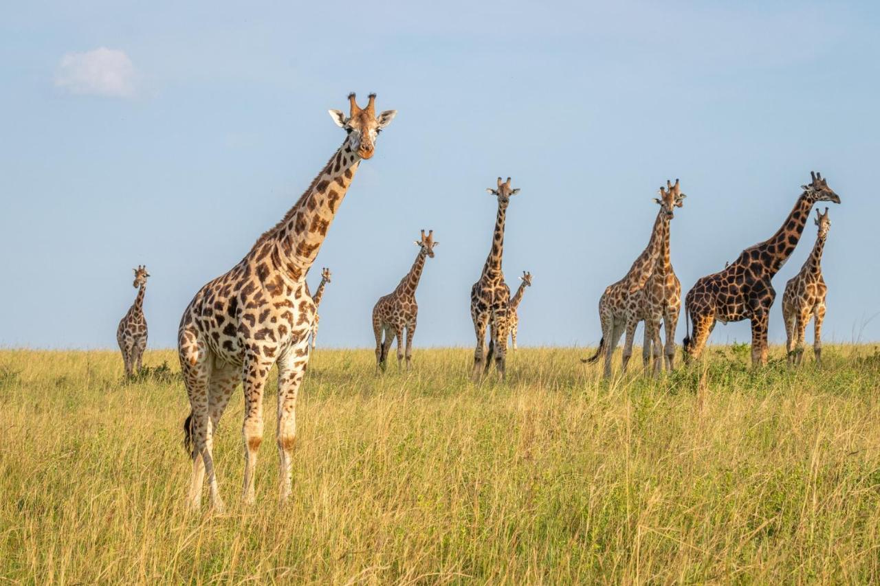 Zebula Golf Estate&Spa - Waterberg Luxury Lodge Mabula Game Reserve Exterior foto